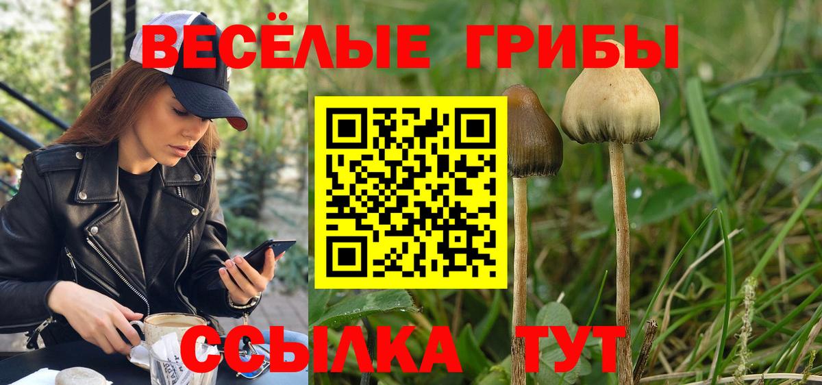 Псилоцибиновые грибы Белебей